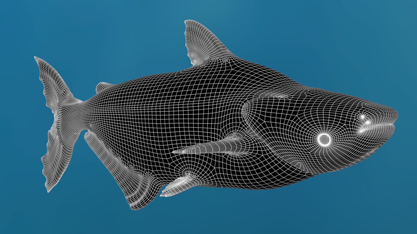 Rigged Mekong Giant Catfish 3D Model