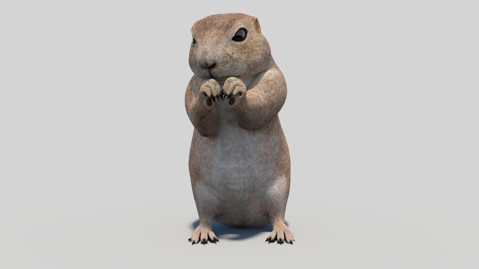 Animated Prairie Dog 3D Model 360° view 2 frame 3
