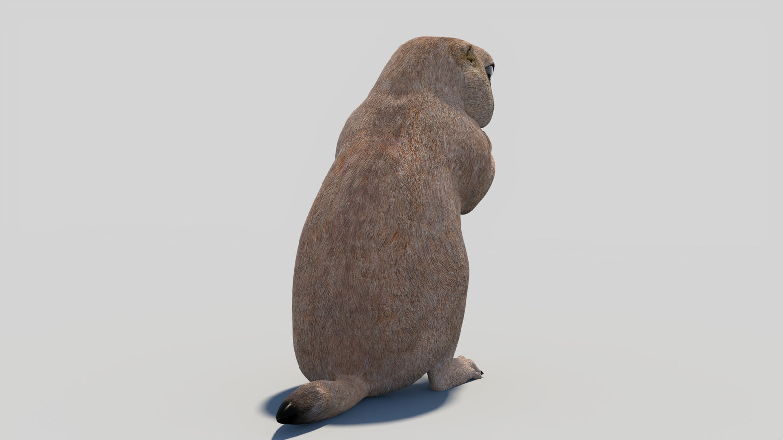Animated Prairie Dog 3D Model 360° view 2 frame 19