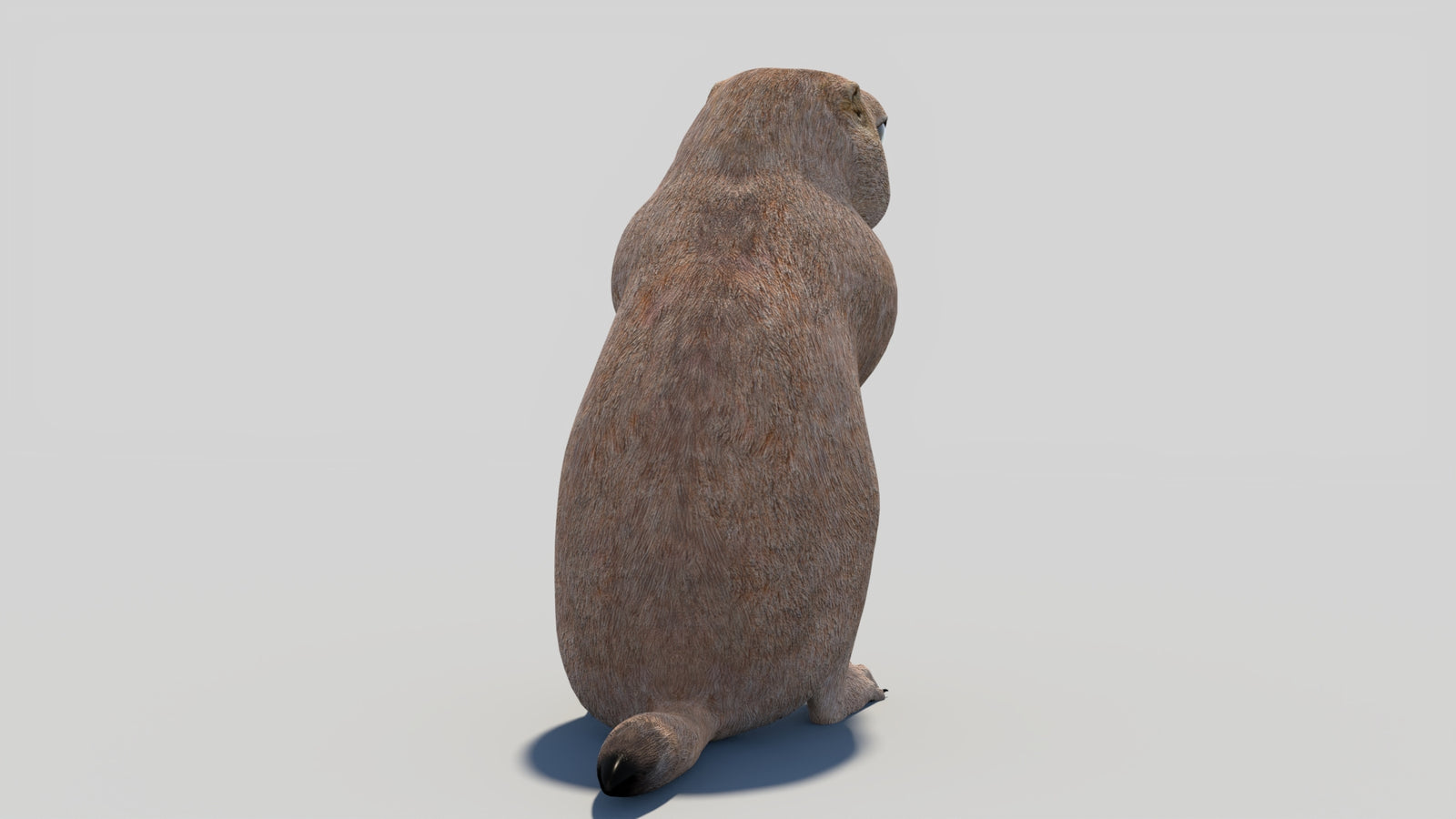 Animated Prairie Dog 3D Model 360° view 2 frame 20
