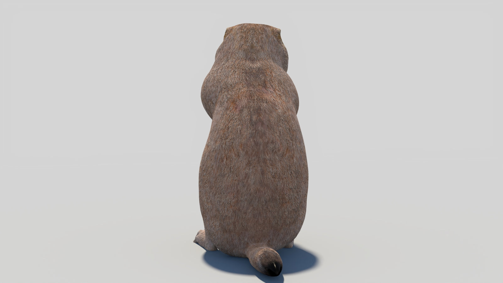 Animated Prairie Dog 3D Model 360° view 2 frame 22