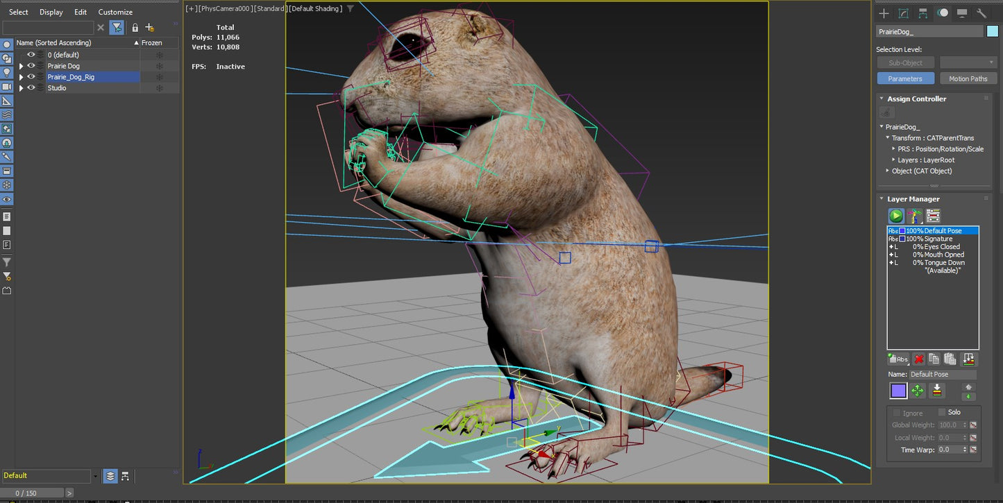 Rigged Prairie Dog 3D Model Fur