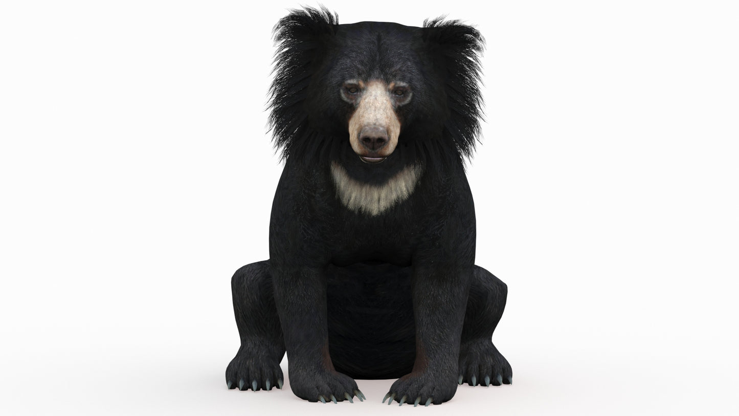 Rigged Sloth Bear 3D Model for Game, AR/VR - Sitting Pose