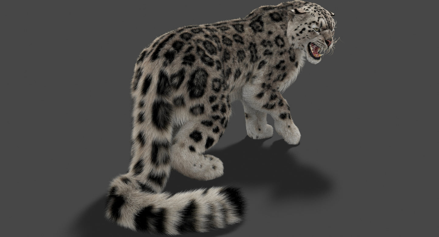 Rigged Snow Leopard 3D Model Ornatrix Fur