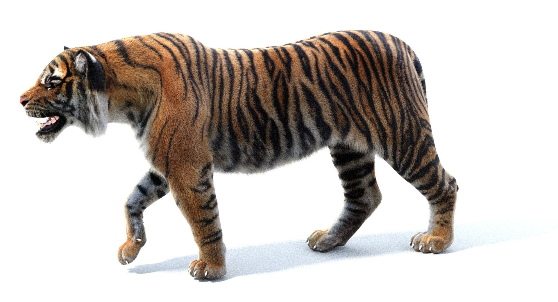 Rigged Sumatran Tiger 3D Model with Fur for VFX