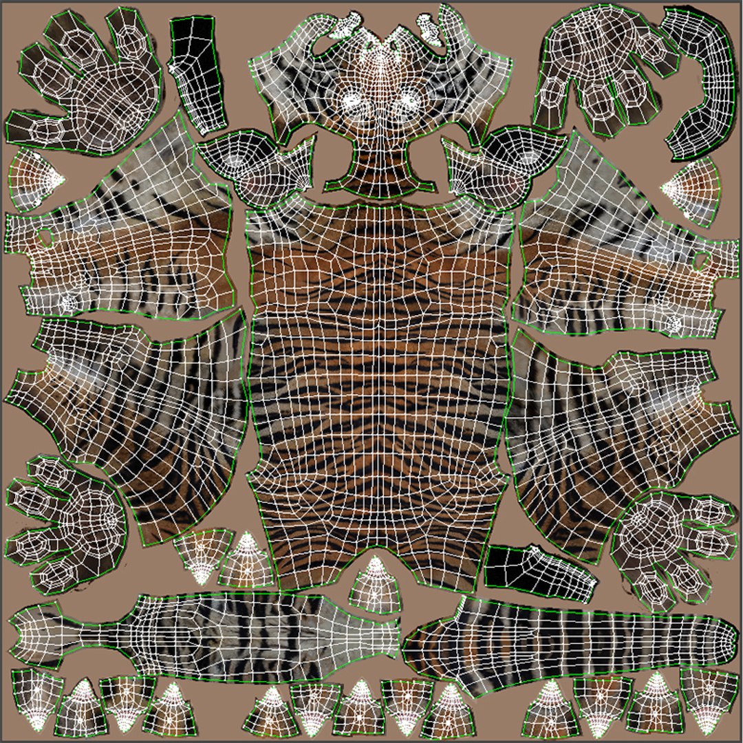 Tiger 3D Model Body UVs