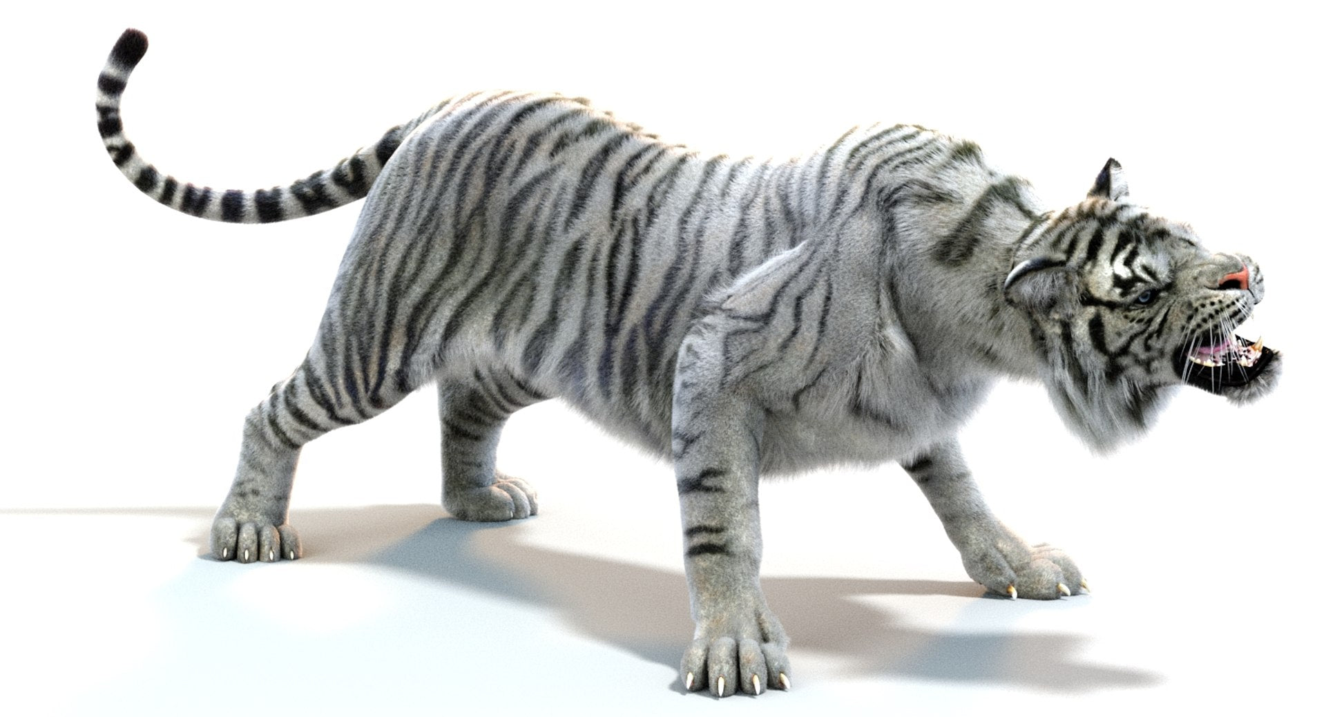 Rigged White Sumatran Tiger 3D Model with Fur