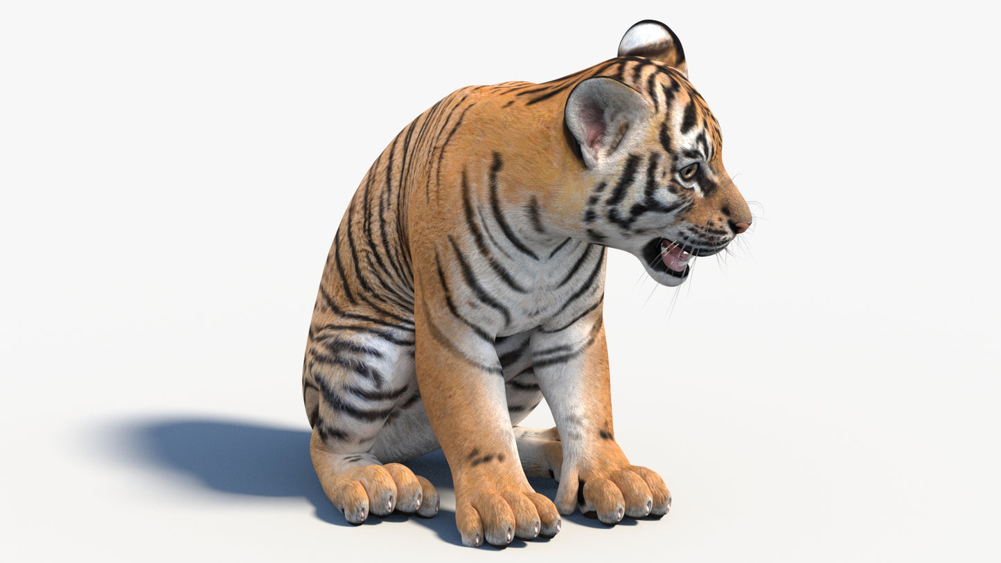 Rigged Tiger Cub 3D Model