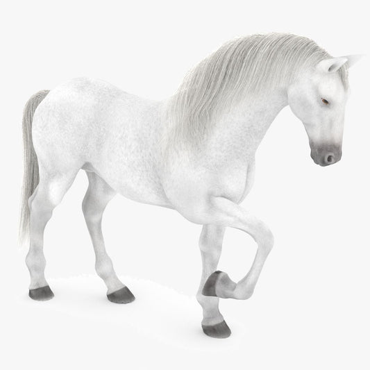 Rigged White Horse 3D Model