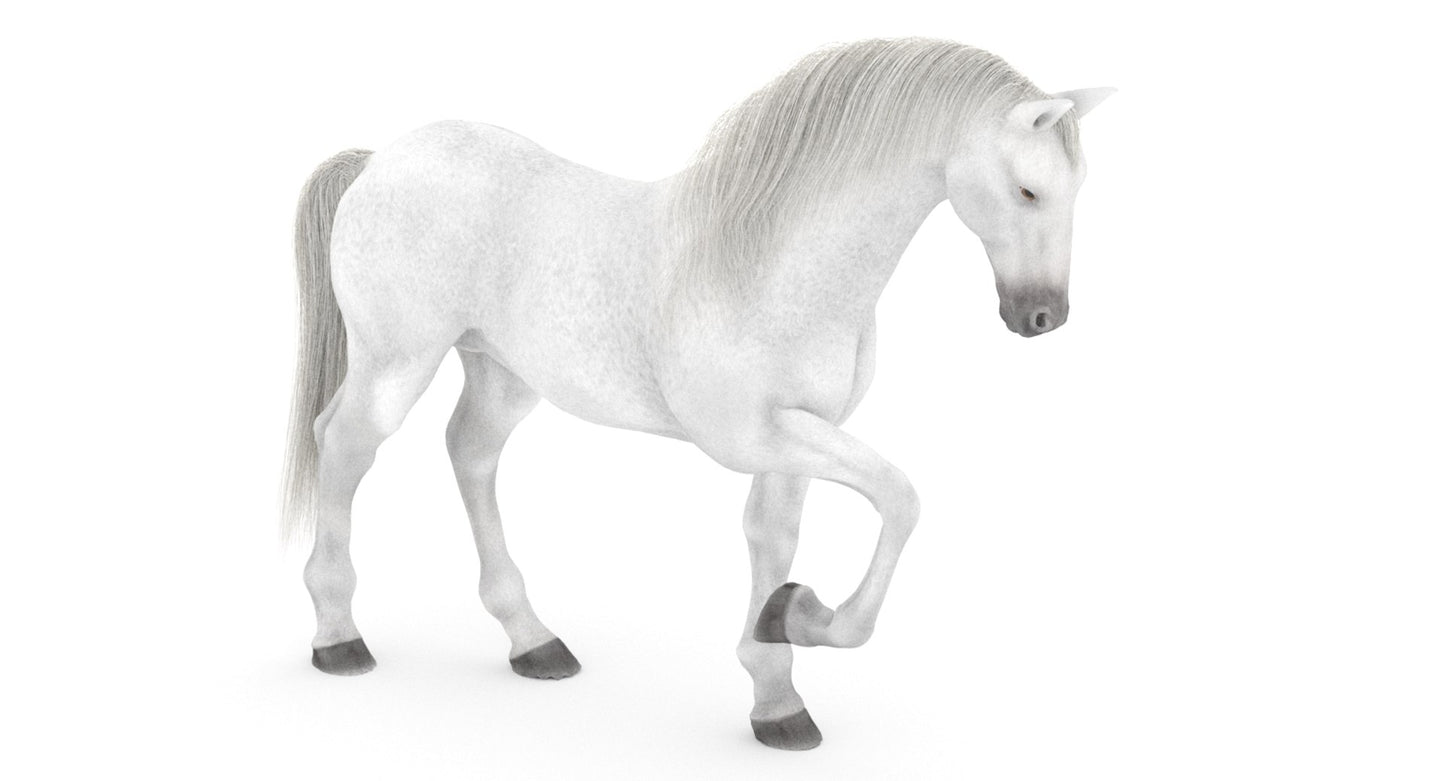 Rigged White Horse 3D Model