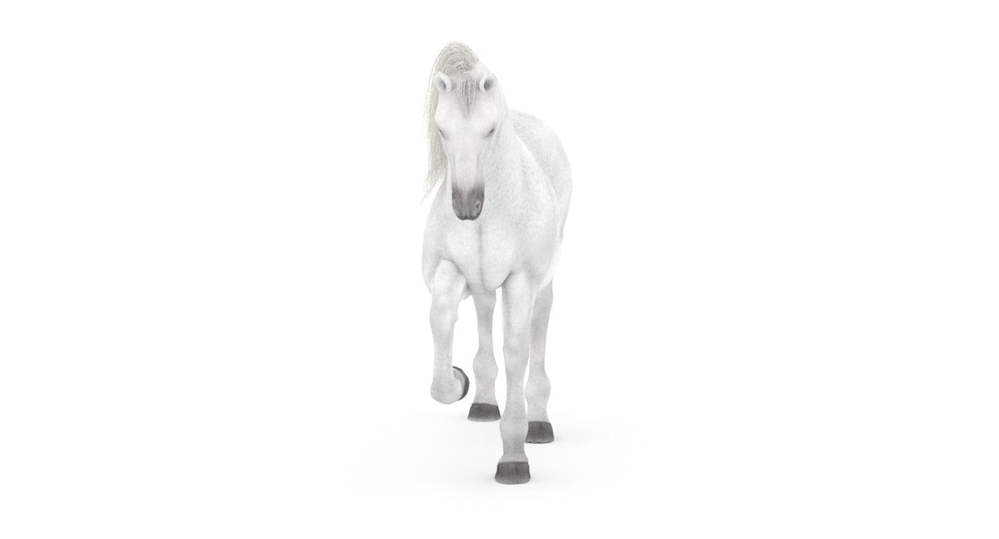 Rigged White Horse 3D Model