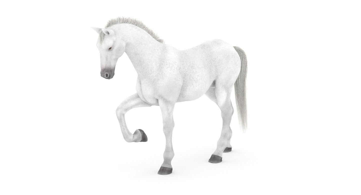 Rigged White Horse 3D Model