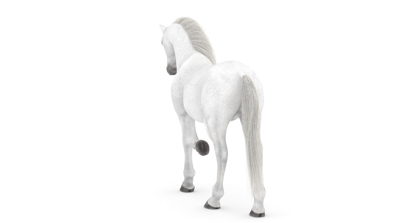 Rigged White Horse 3D Model