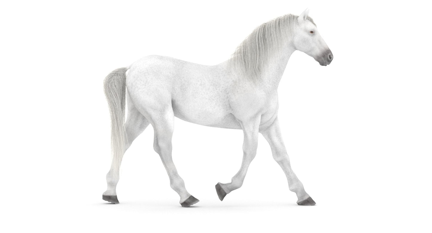 Rigged White Horse 3D Model