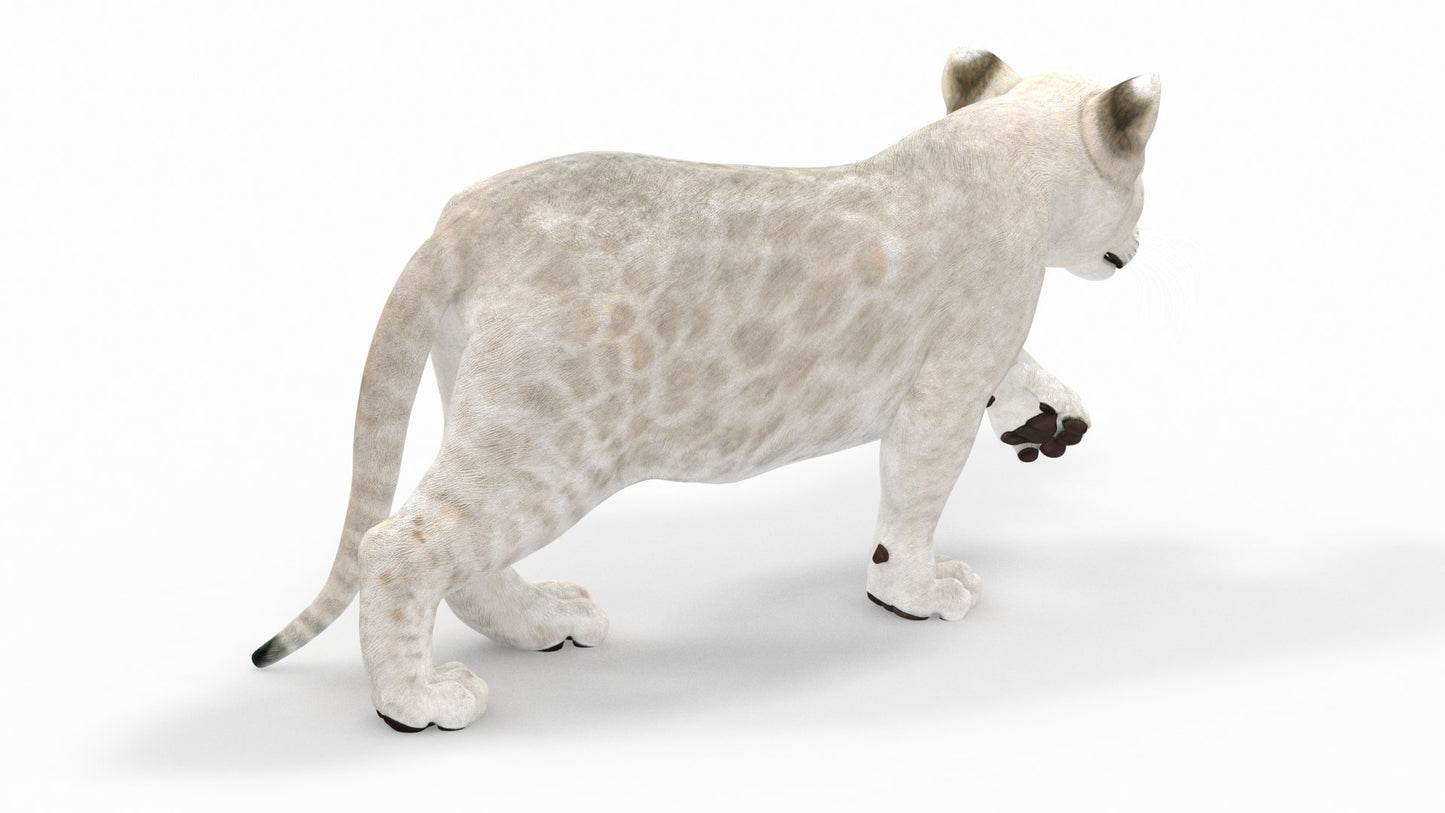 Rigged White Lion Cub 3D Model