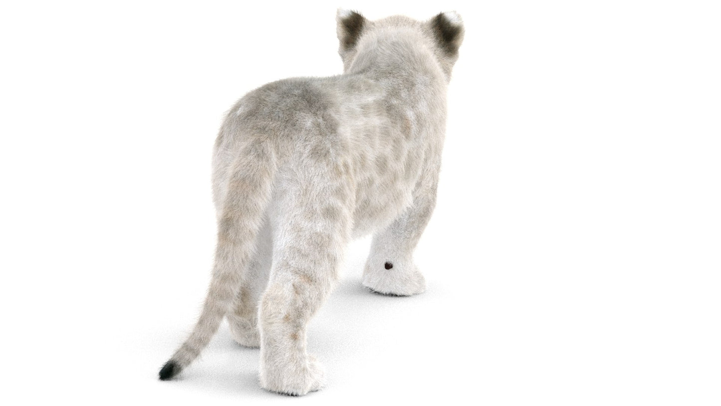 Rigged White Fur Lion Cub 3D Model
