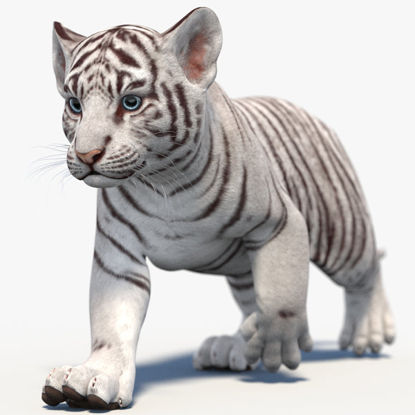 Rigged White Baby Tiger 3D Model