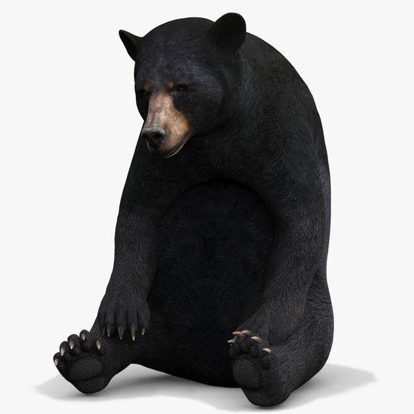 Rigged Black Bear 3D Model
