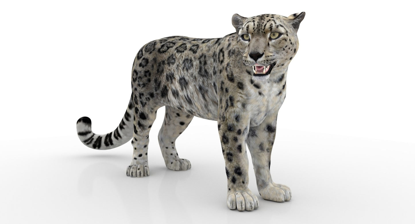Rigged Snow Leopard 3D Model