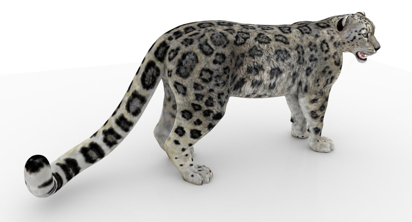 Rigged Snow Leopard 3D Model