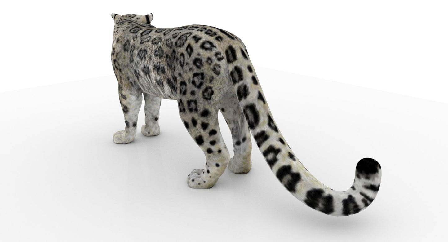 Rigged Snow Leopard 3D Model