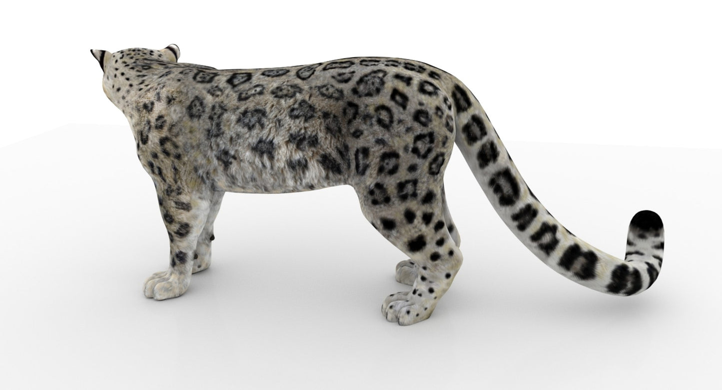 Rigged Snow Leopard 3D Model