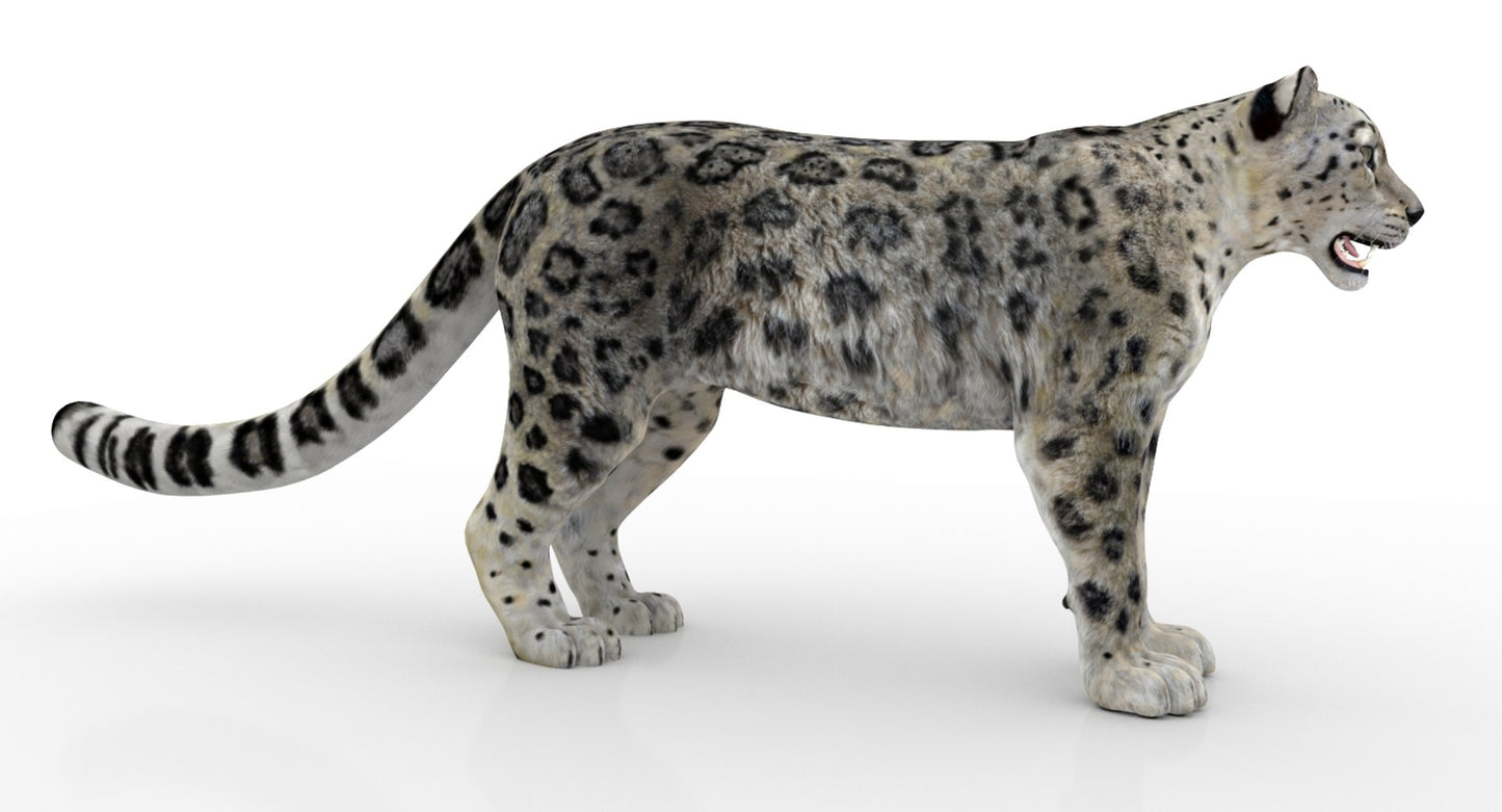 Rigged Snow Leopard 3D Model