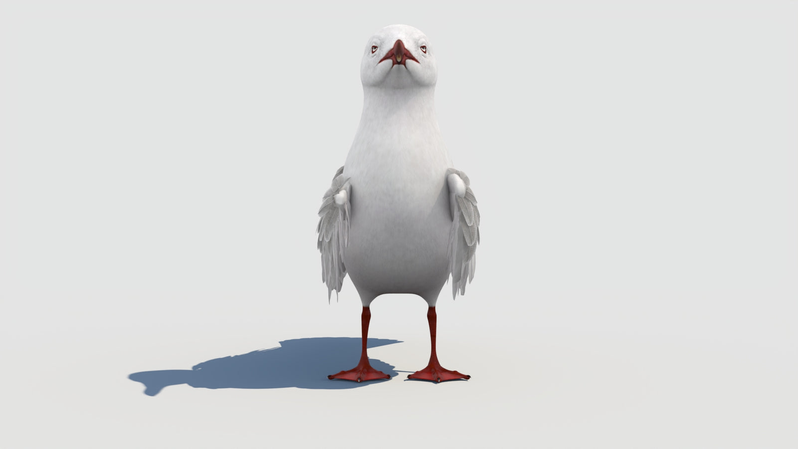 Animated Seagull 3D Model 360° view 1 frame 9