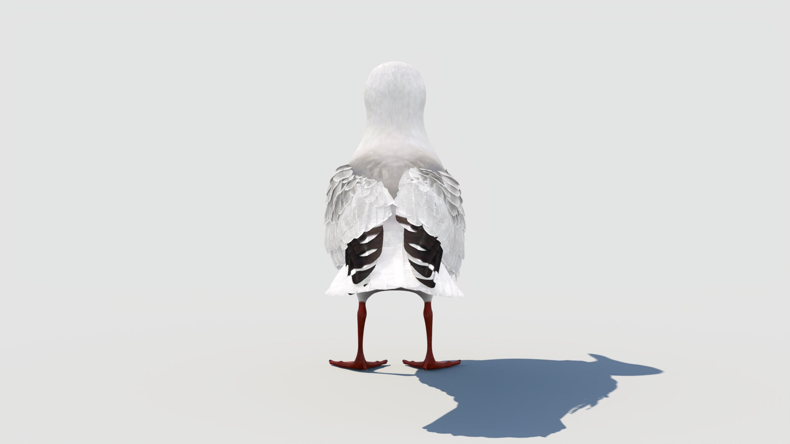 조작된 갈매기 3D 모델 360° view 1 frame 27