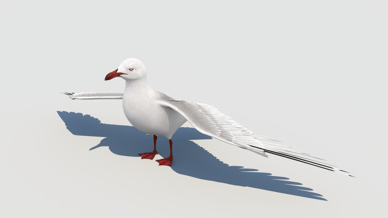 Animated Seagull 3D Model 360° view 6 frame 5