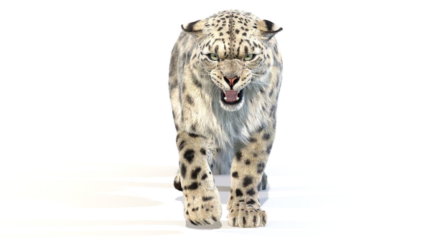 Animated Snow Leopard 3D Model Fur