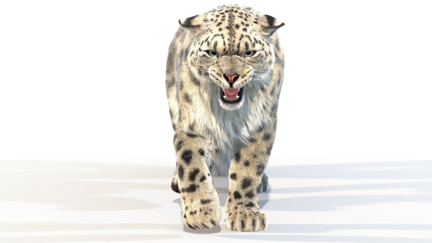 Animated Snow Leopard 3D Model Fur