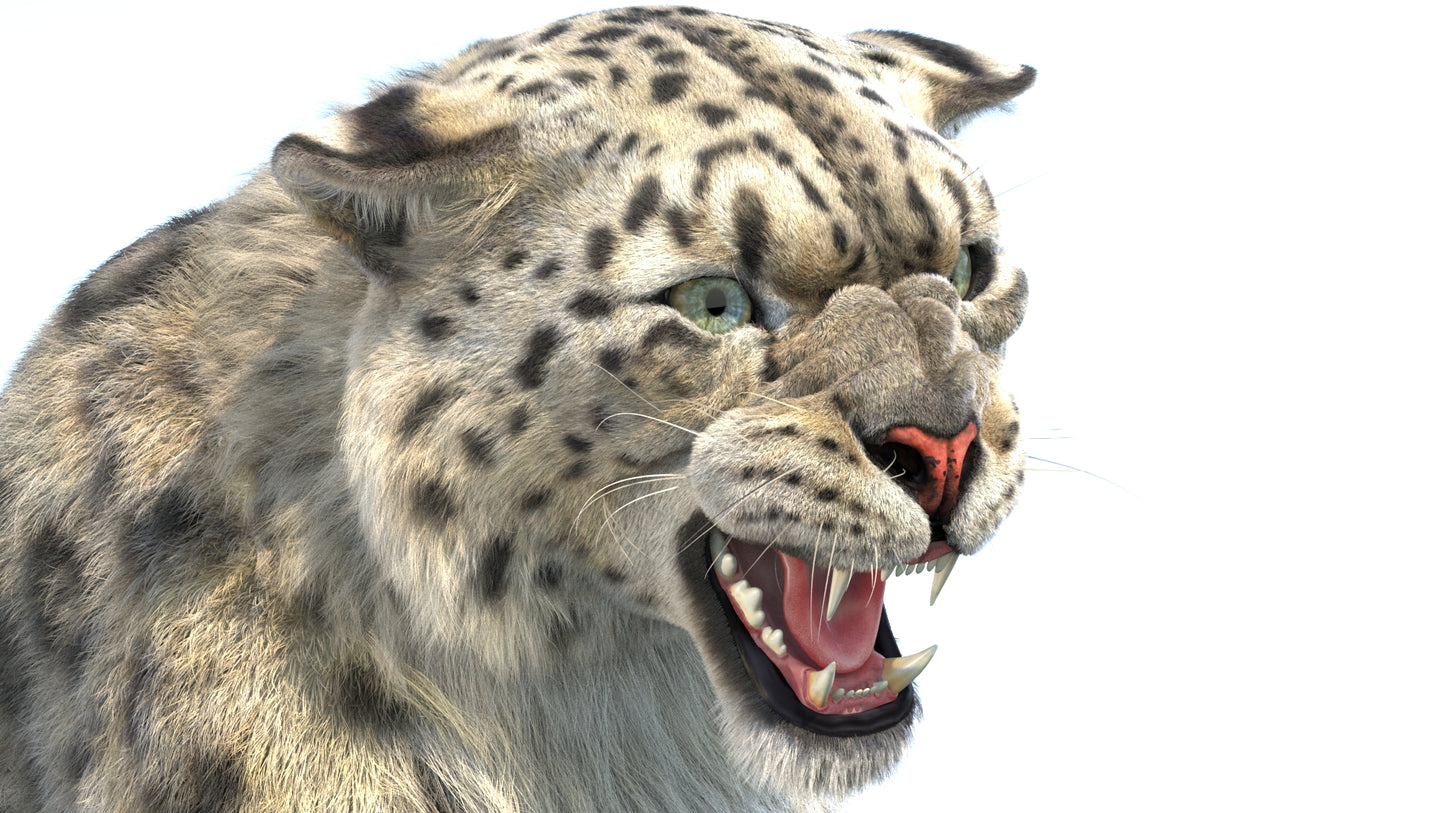 Animated Snow Leopard 3D Model Fur