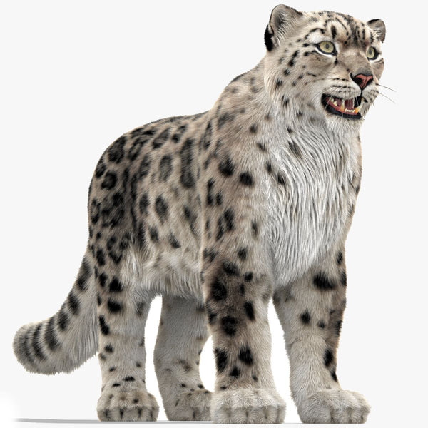 Snow Leopard 3D Model with Ornatrix Fur
