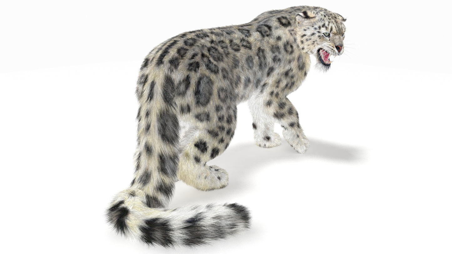 Snow Leopard 3D Model Rigged Fur