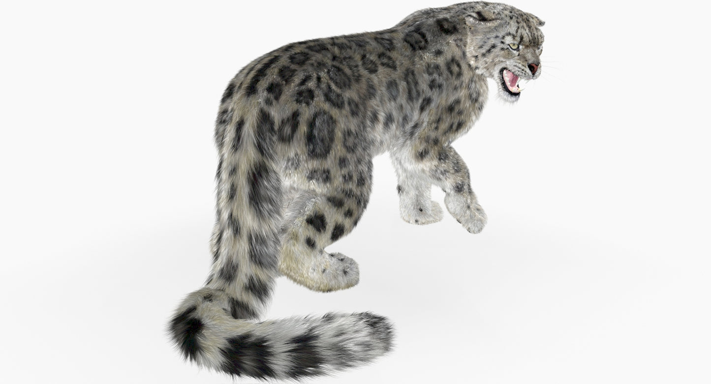Snow Leopard 3D Model Rigged Fur