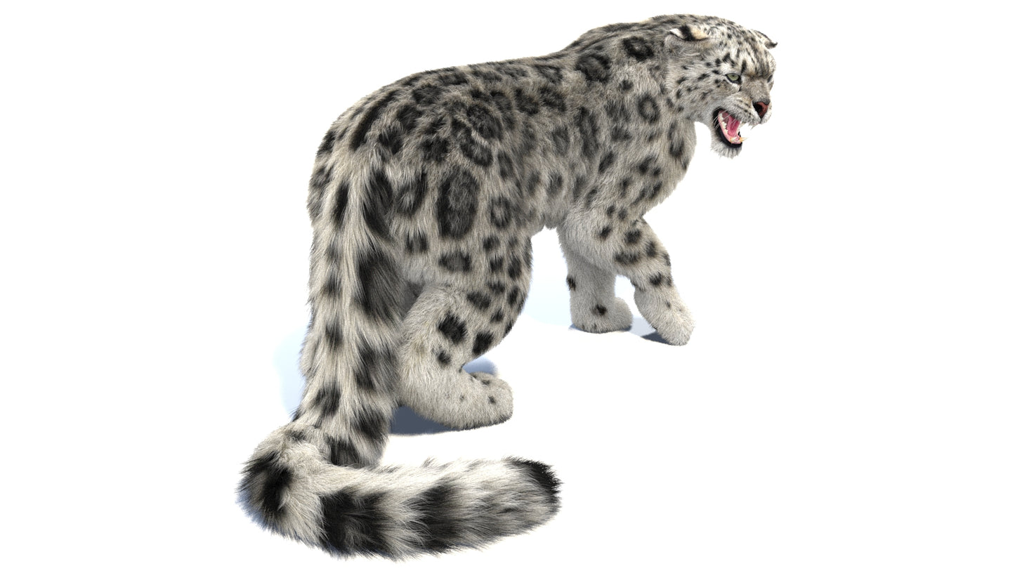 Snow Leopard 3D Model Rigged Fur