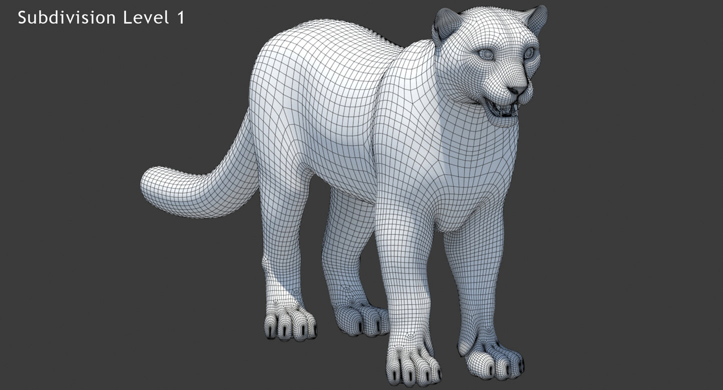 Snow Leopard 3D Model Rigged Fur