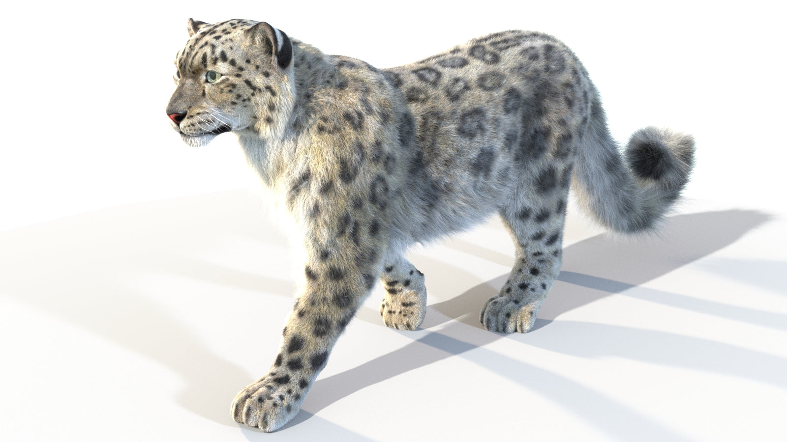 Animated Snow Leopard 3D Model Fur 360° view 4 frame 6