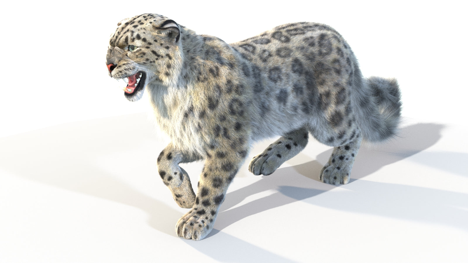 Animated Snow Leopard 3D Model Fur 360° view 4 frame 16