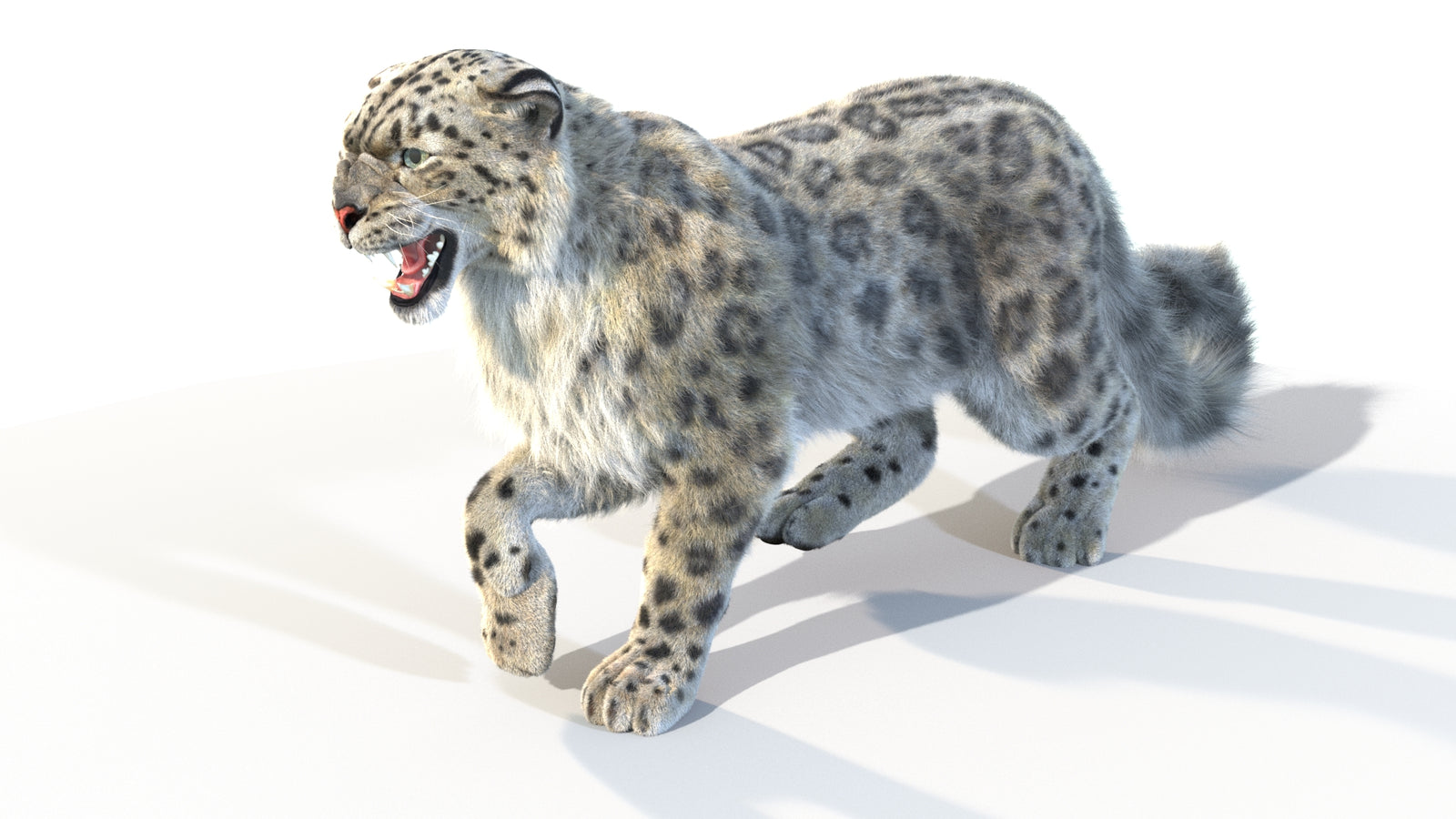 Animated Snow Leopard 3D Model Fur 360° view 4 frame 18