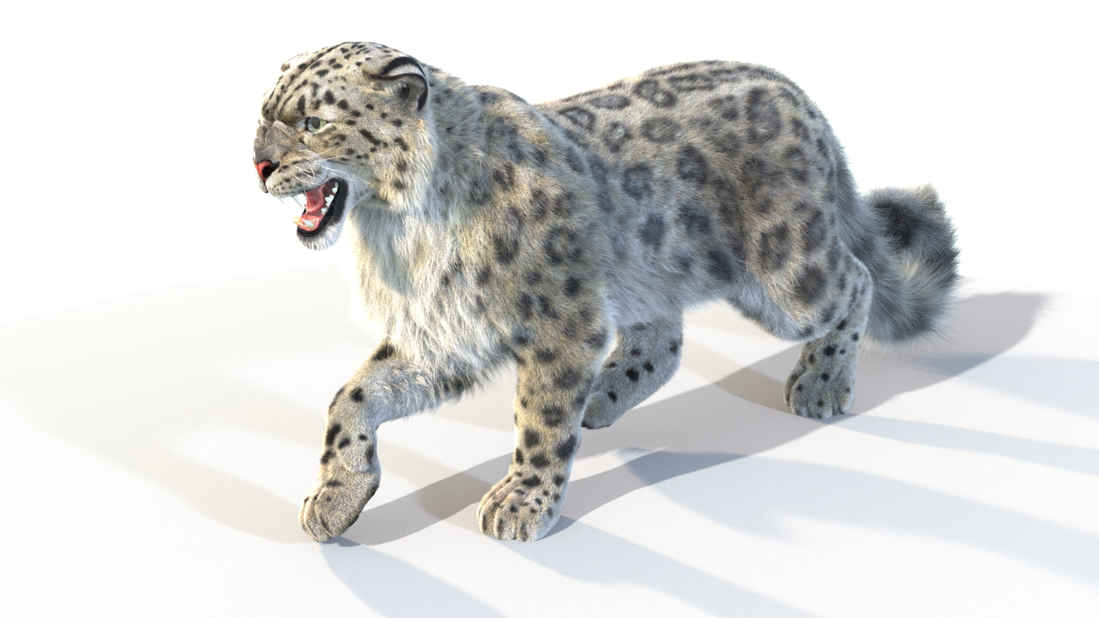 Animated Snow Leopard 3D Model Fur 360° view 4 frame 21