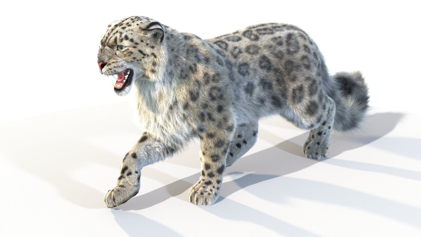 Animated Snow Leopard 3D Model Fur 360° view 4 frame 22
