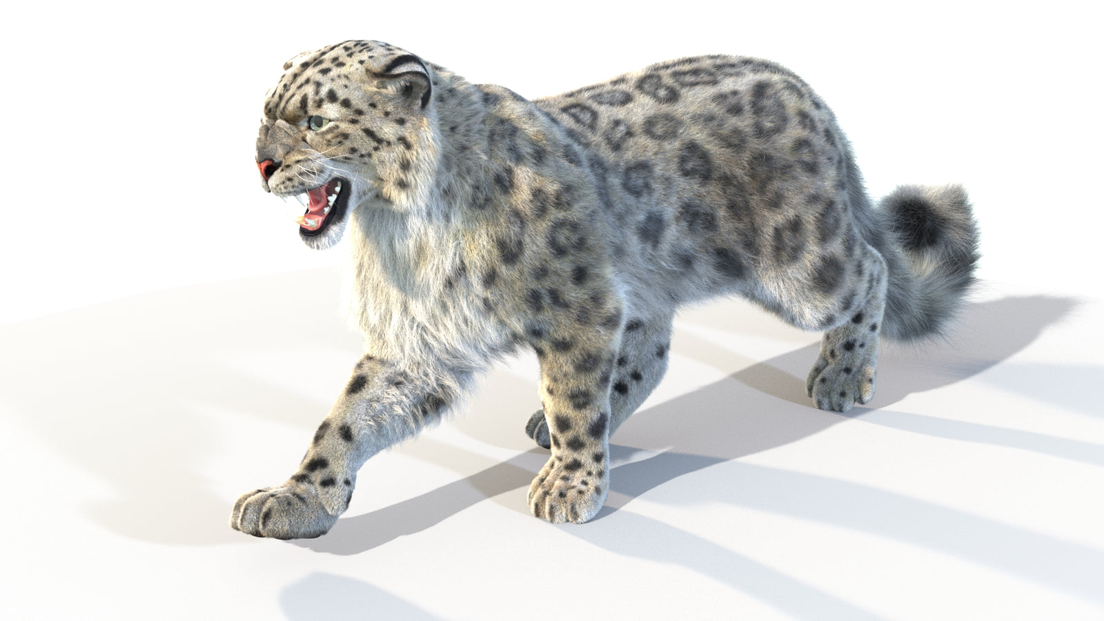 Animated Snow Leopard 3D Model Fur 360° view 4 frame 24