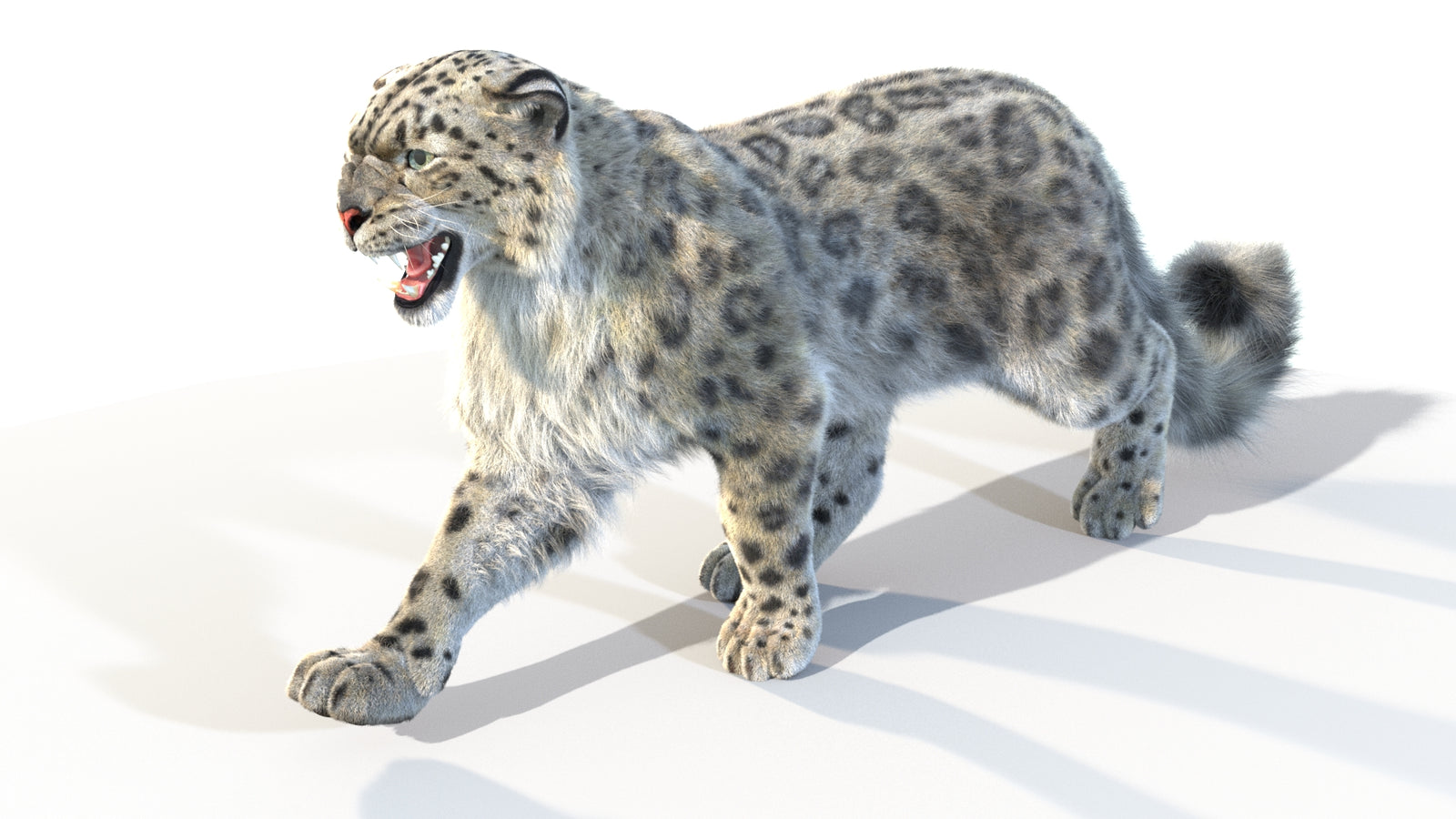 Animated Snow Leopard 3D Model Fur 360° view 4 frame 25