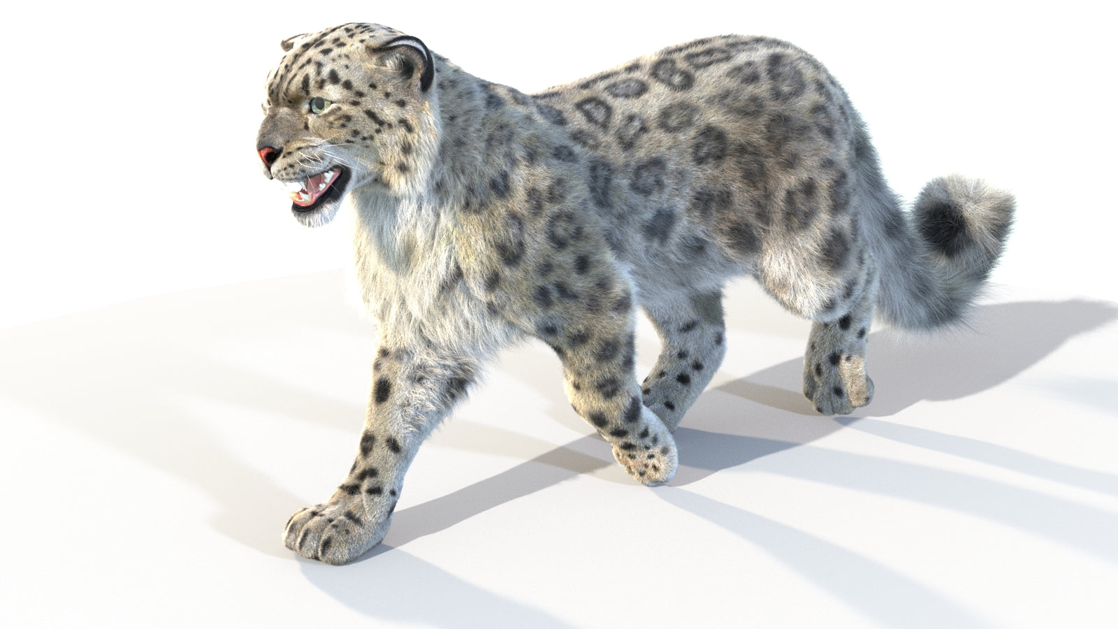 Animated Snow Leopard 3D Model Fur 360° view 4 frame 31