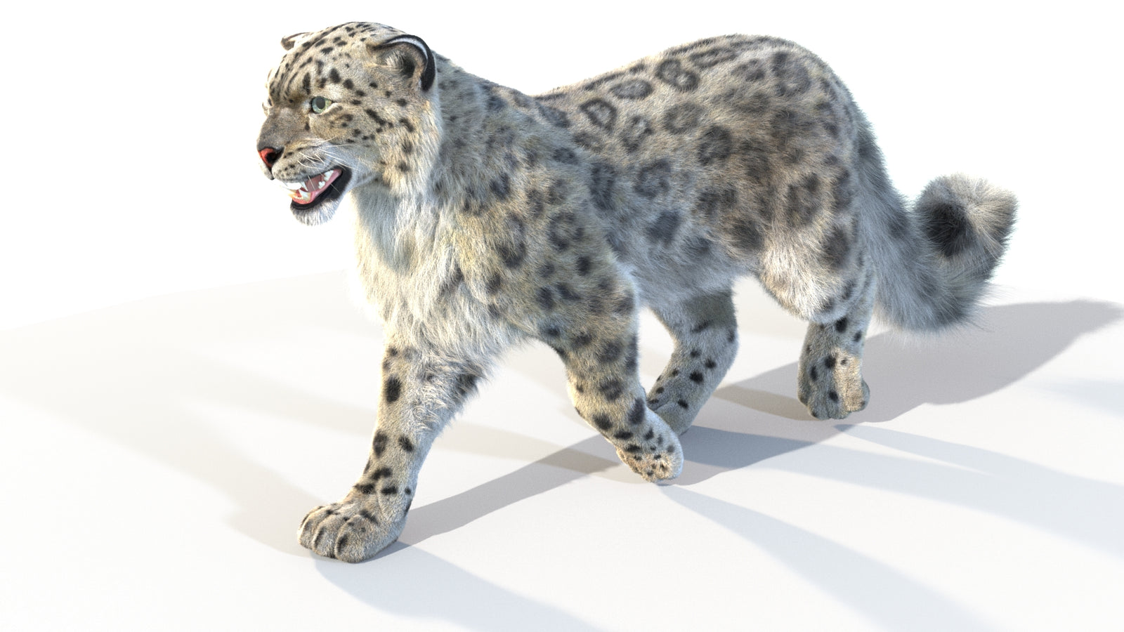 Animated Snow Leopard 3D Model Fur 360° view 4 frame 32
