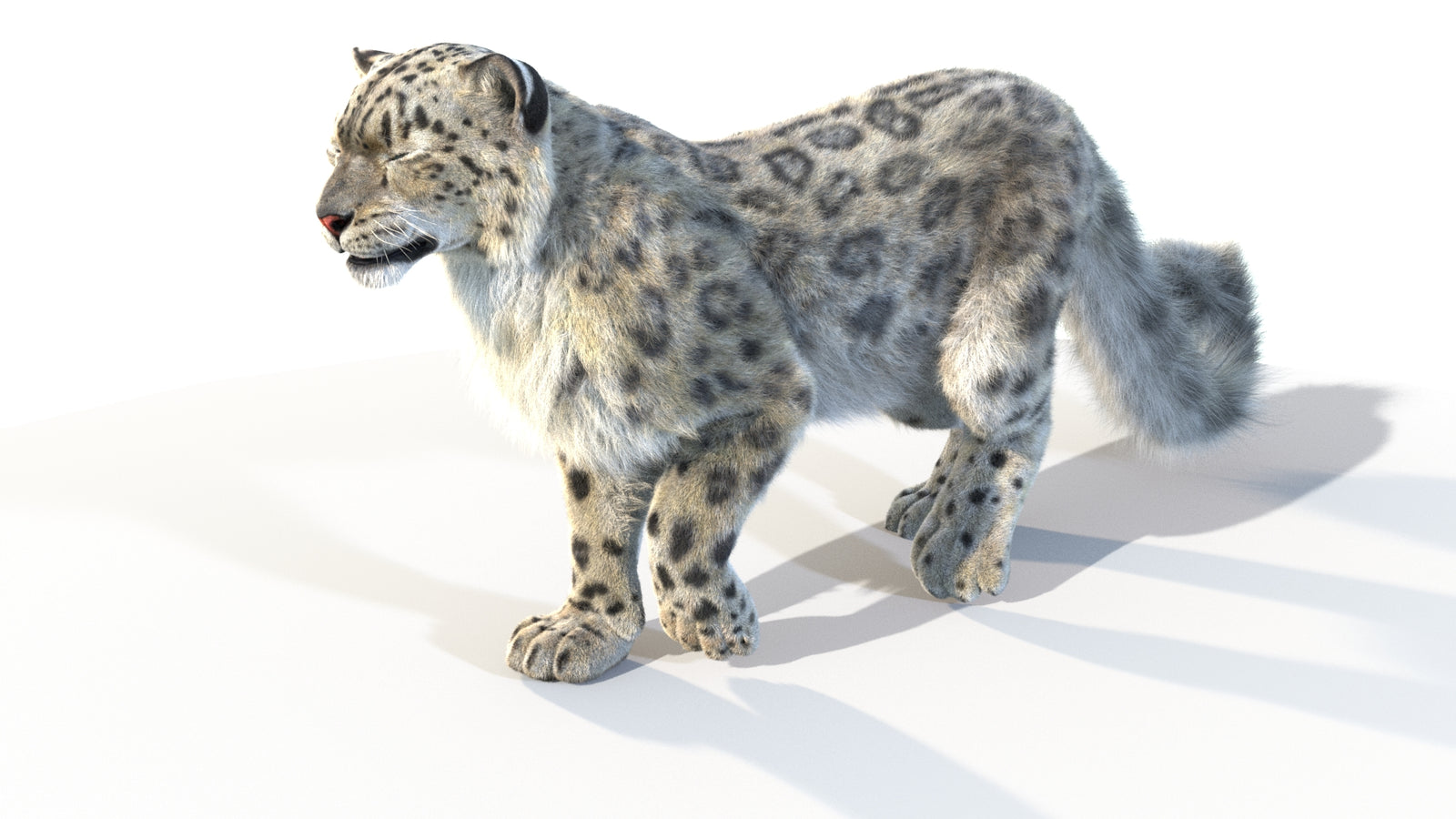 Animated Snow Leopard 3D Model Fur 360° view 4 frame 39