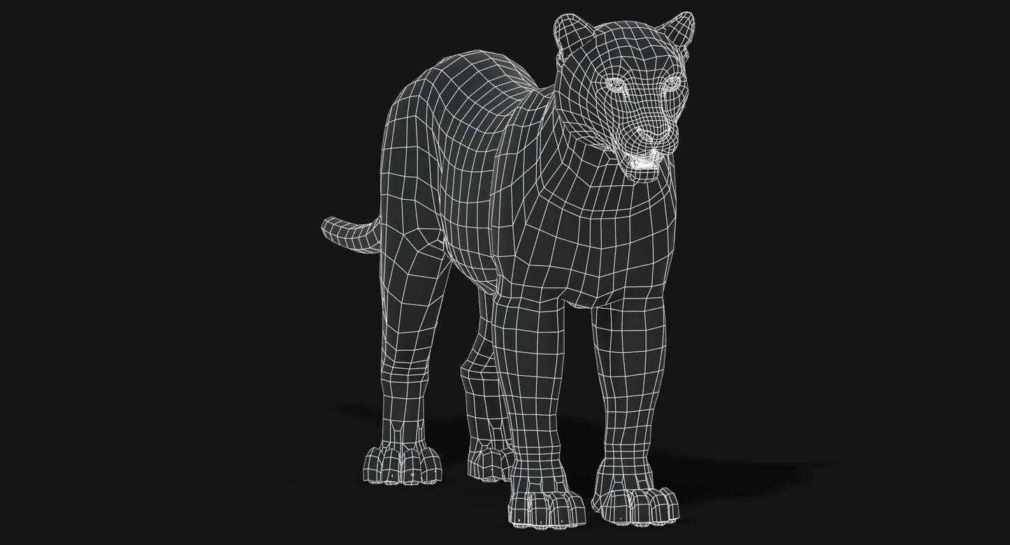 Big Cats 03 3D Model