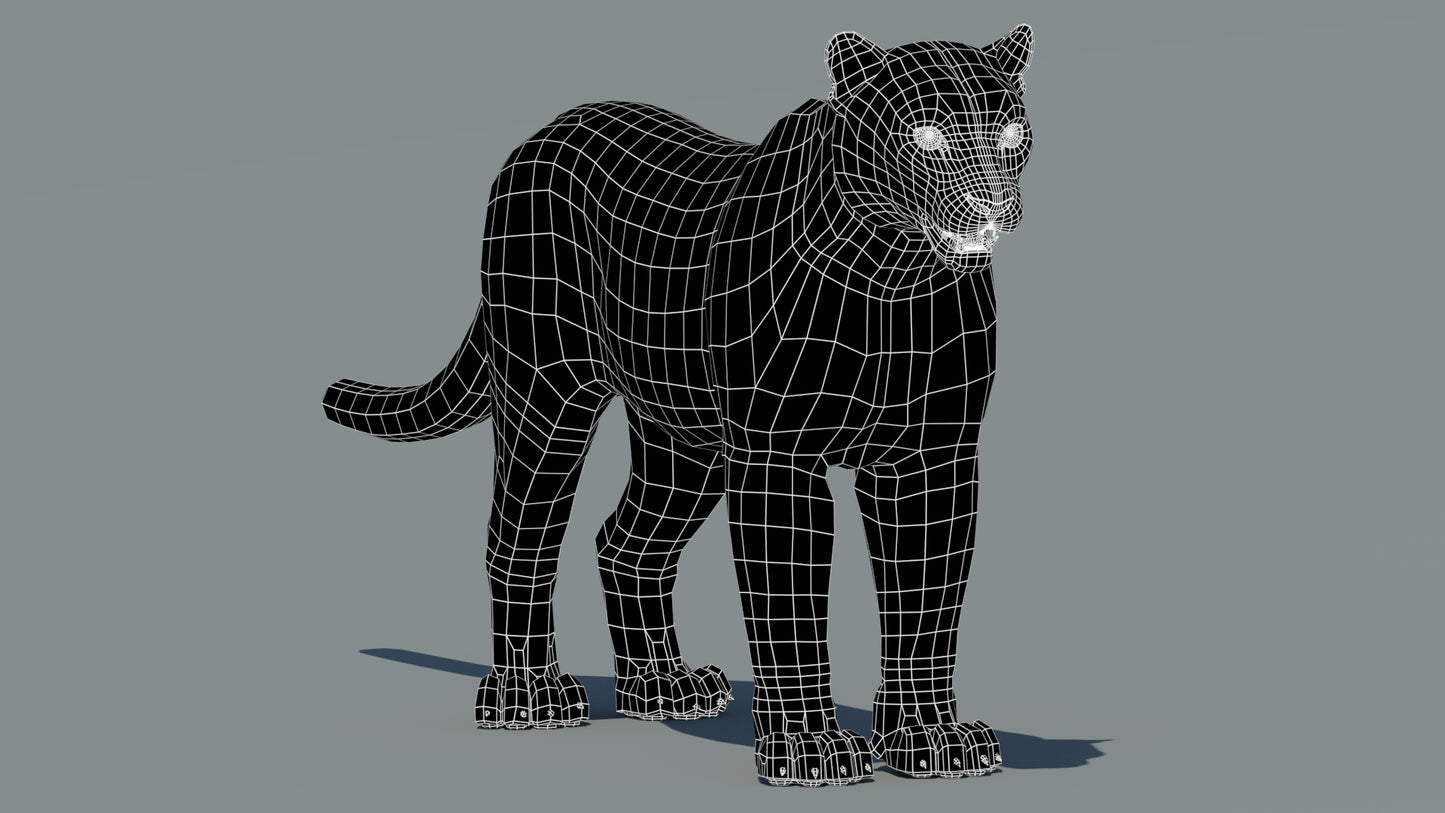 Snow Leopard 3D Model Wireframe View: Subdivision Level 0